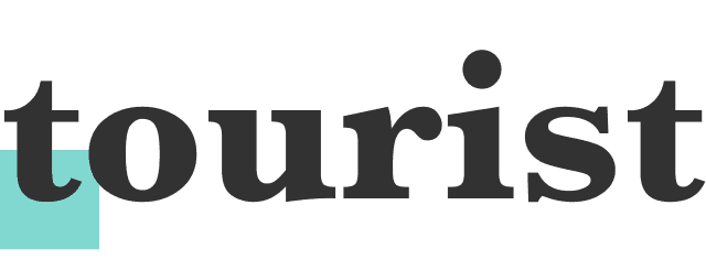 의료 관광 결정 어려움